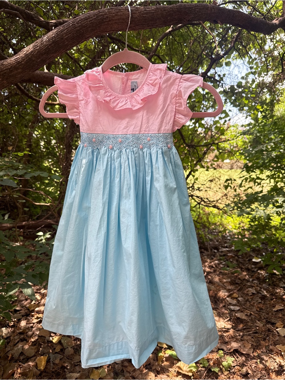 Girls Pink & Light Blue Smocked Ruffle Dress